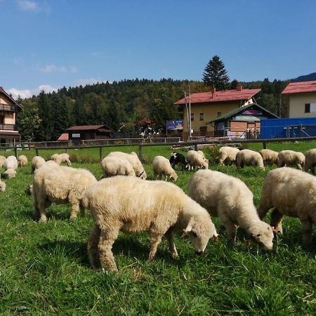 Ferienwohnung Willa Szymusiowa Szczyrk Exterior foto